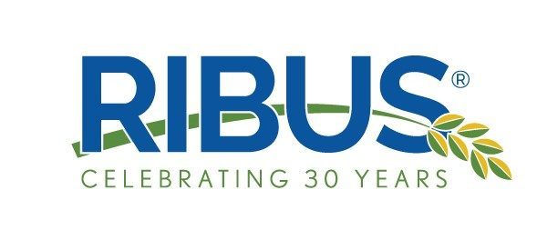 RIBUS 30 year anniversary logo