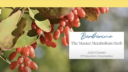 Enzymedica-Berberine-Webinar-2023.png