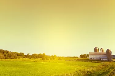 Countryside Farm in the morning
