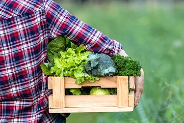 Organic-Farm-Farmer-GettyImages-1618136468-copy.jpg