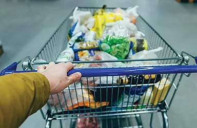 Grocery Shopping cart