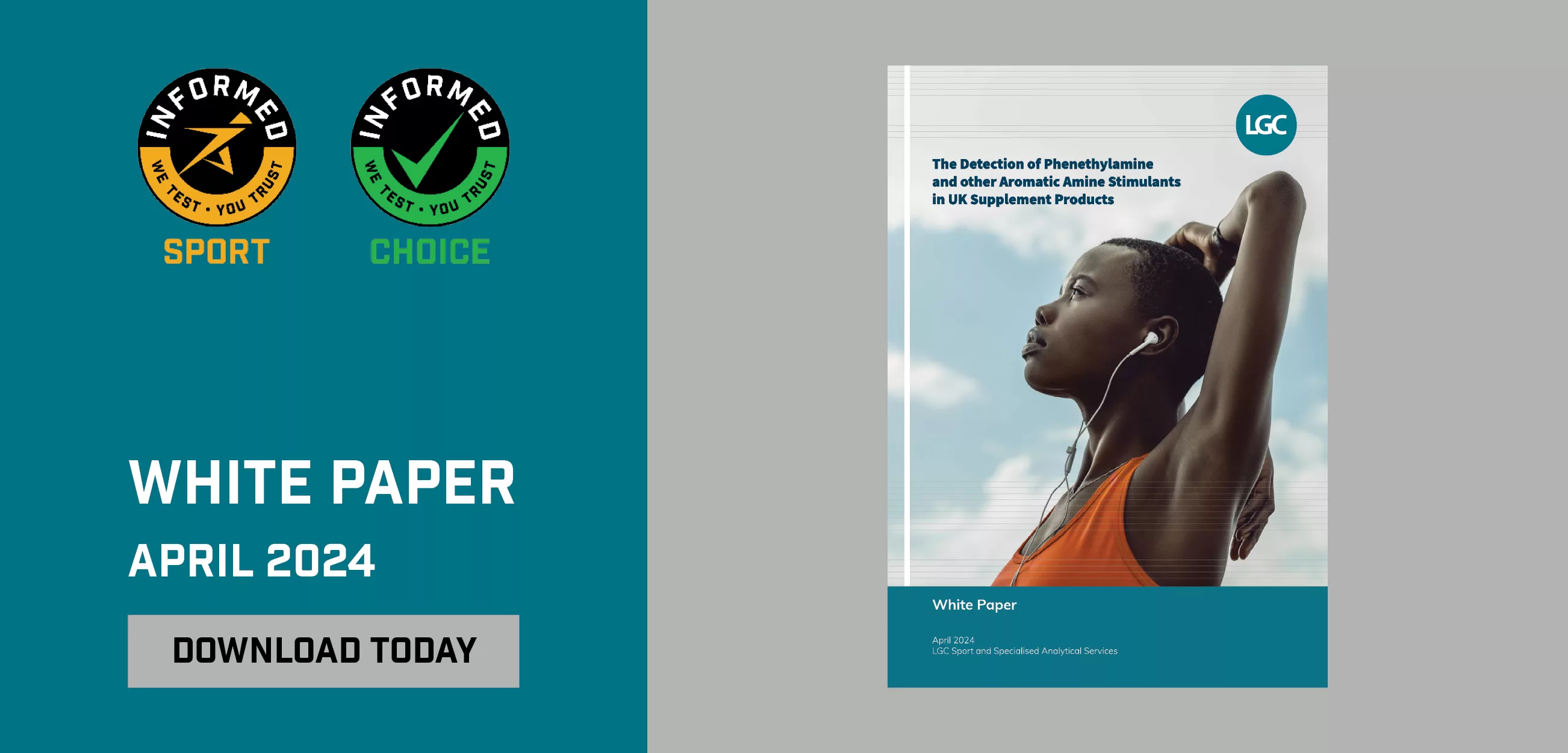Whitepaper banner