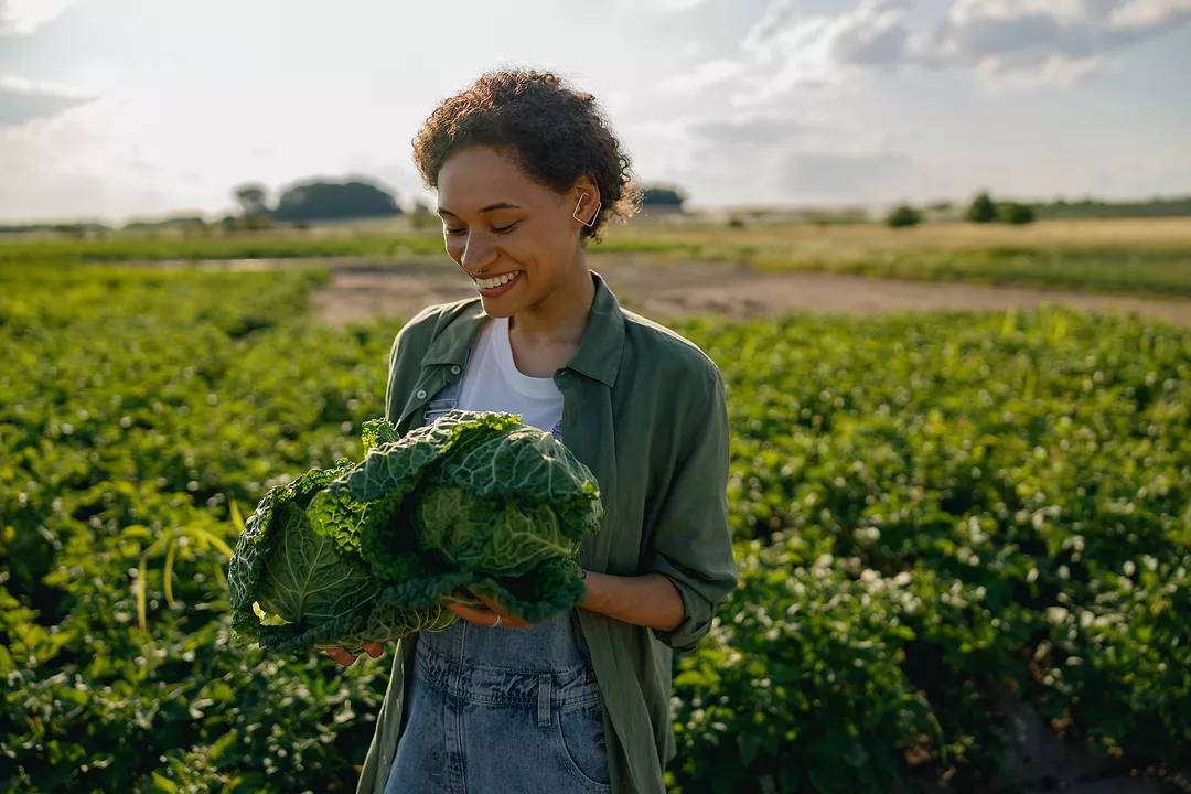 Woman agronomist standing with just harvested cabbages on the field background.