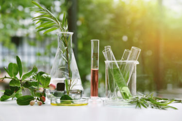 Natural drug research, Natural organic and scientific extraction in glassware, Alternative green herb medicine.
