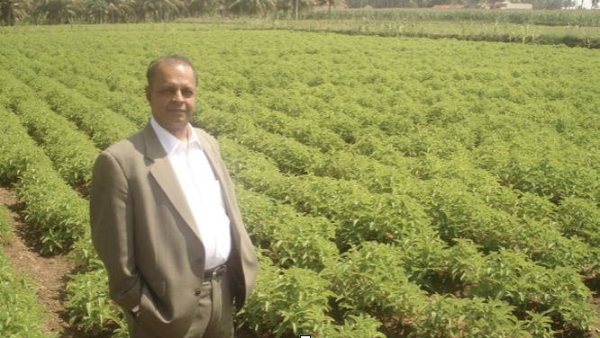 Dr. Majeed in the fields.