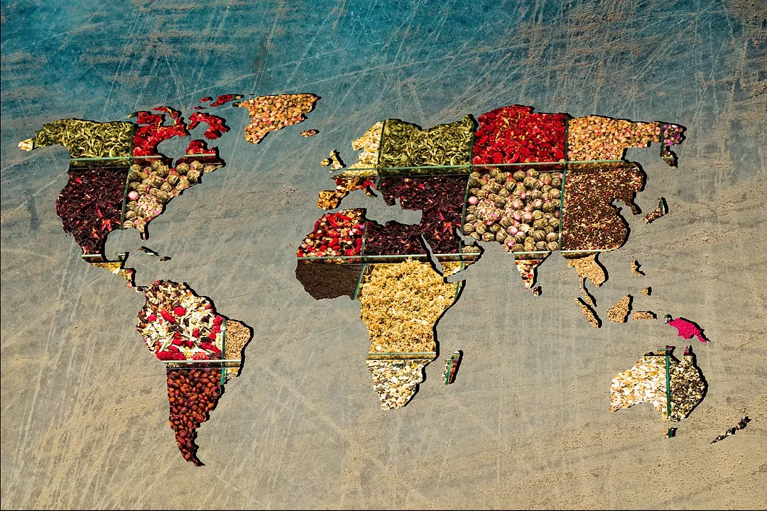 Roughly outlined world map featuring spices and global flavors.