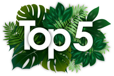 Top 5 word and green tropical leaves background