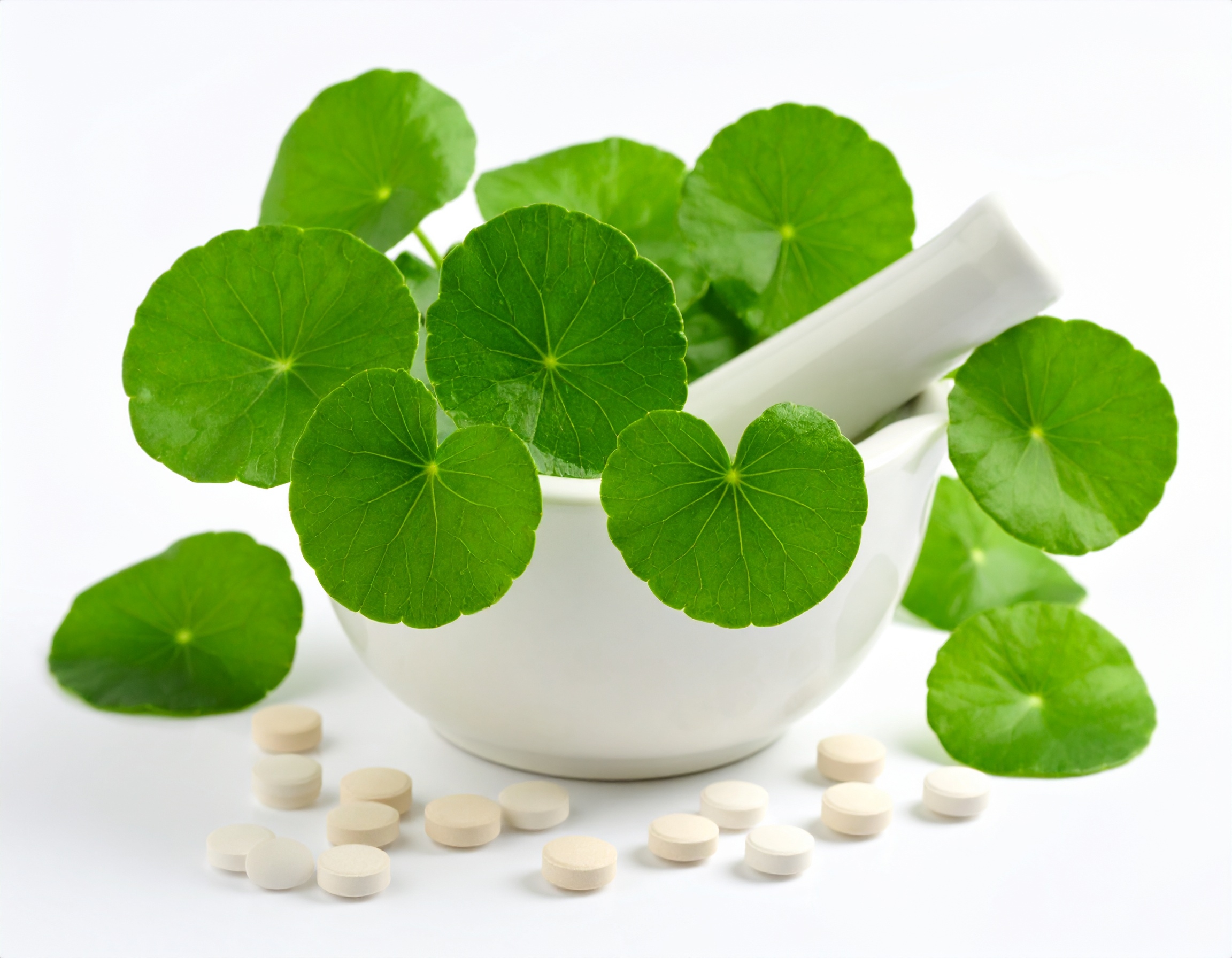 3H LABS Introduces High-Potency Gotu Kola to US 2.jpg