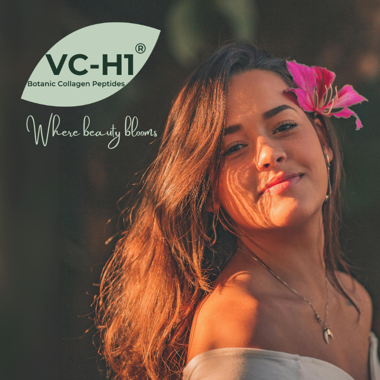 VC-H1 Webinar invite for email blast (1).png