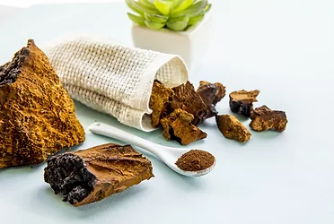 Wildcrafted chaga mushrooms.