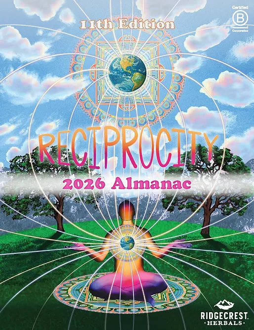 Cover_RC_AL.jpg