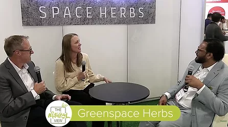 Greenspace-SSG-Natural-View.jpg