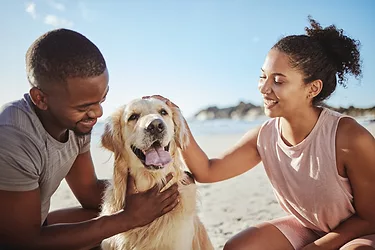 Happy-Healthy-pets-GettyImages-1456209324.jpg