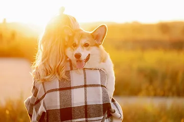 Pets-Dogs-GettyImages-1937487140.jpeg