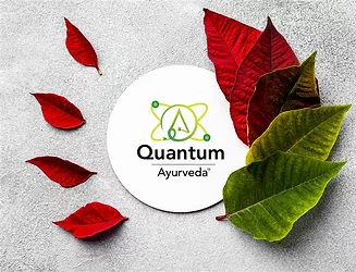 quantum-2.jpg