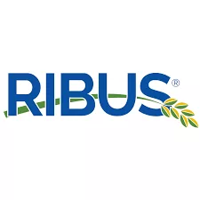 ribus_logo.png
