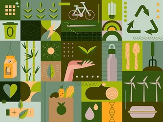 Sustainability at home. Zero-waste shopping, Recycling, Growing food, Renewable energy, Creating green spaces, Ways to fight climate change