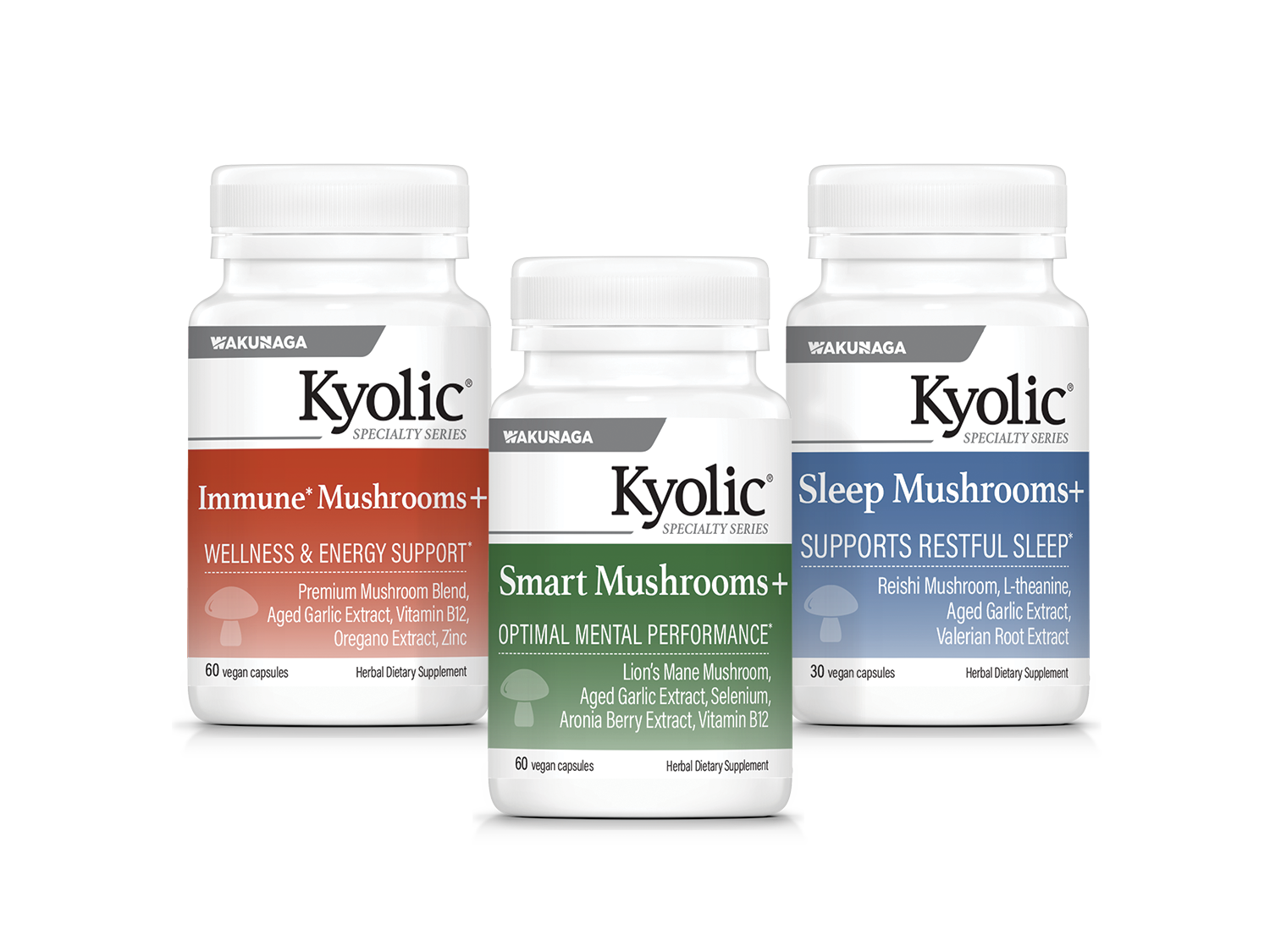 KYOLIC-SS_GROUP_Mushrooms+_2026.png