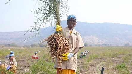DOP Venkat8707T01.JPG