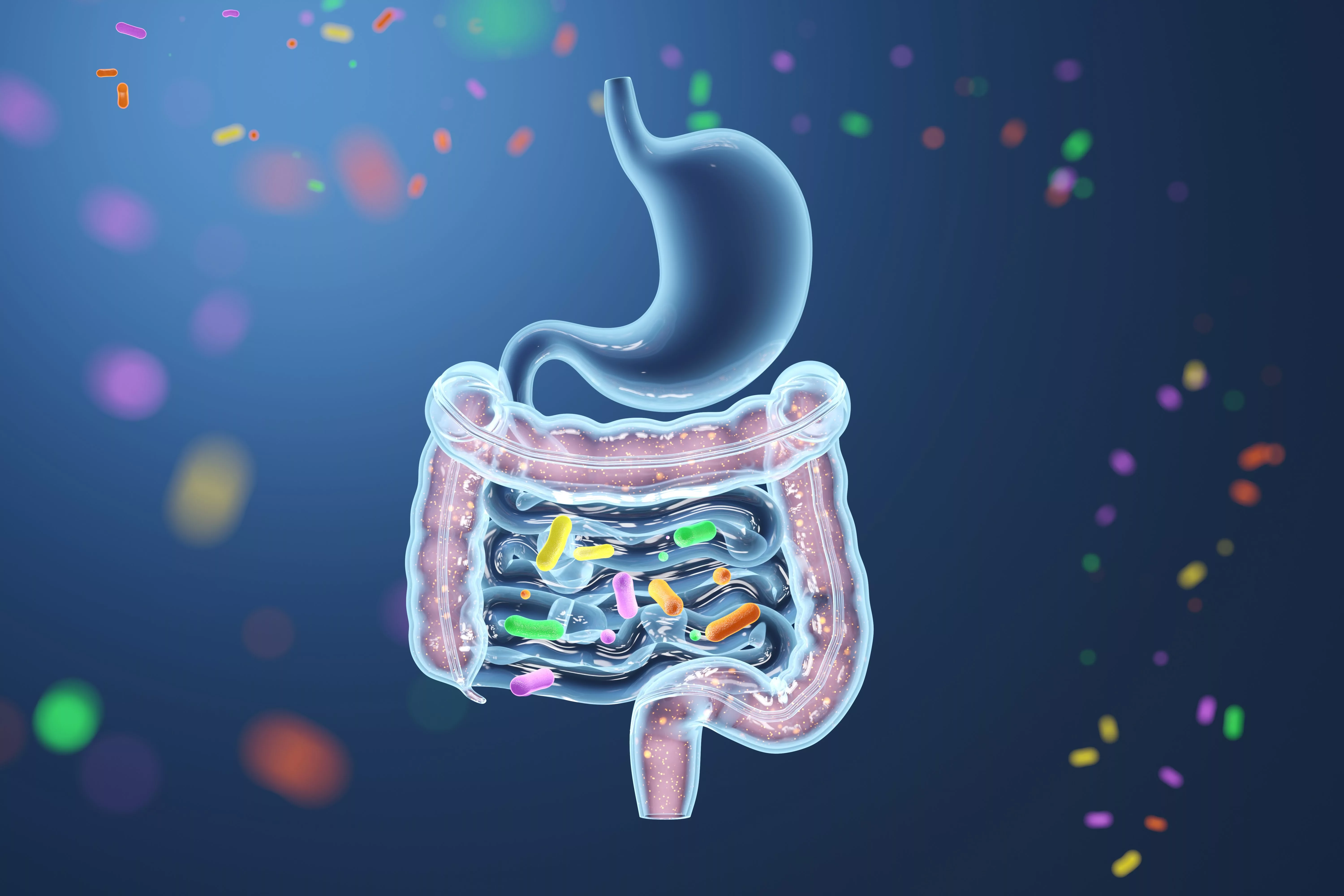 Microbiome prebiotics for wellness