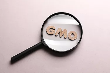 GMOs-GettyImages-2254896806.jpg