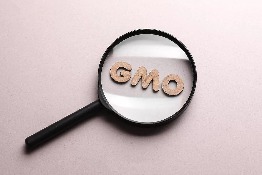 GMOs-GettyImages-2254896806.jpg