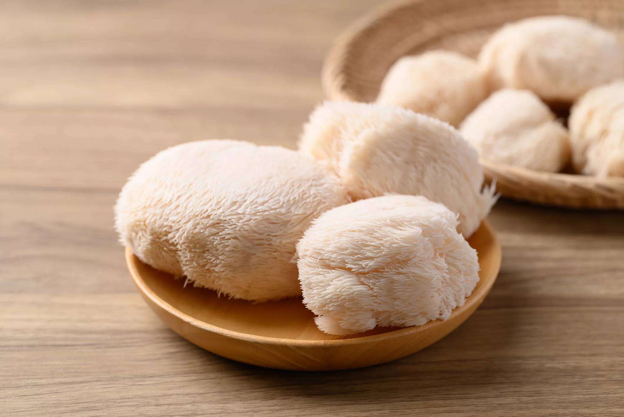 Lions mane mushroom fungi gettyimages 2178663140