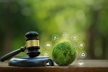 Regulatory-GettyImages-1878762700.jpg