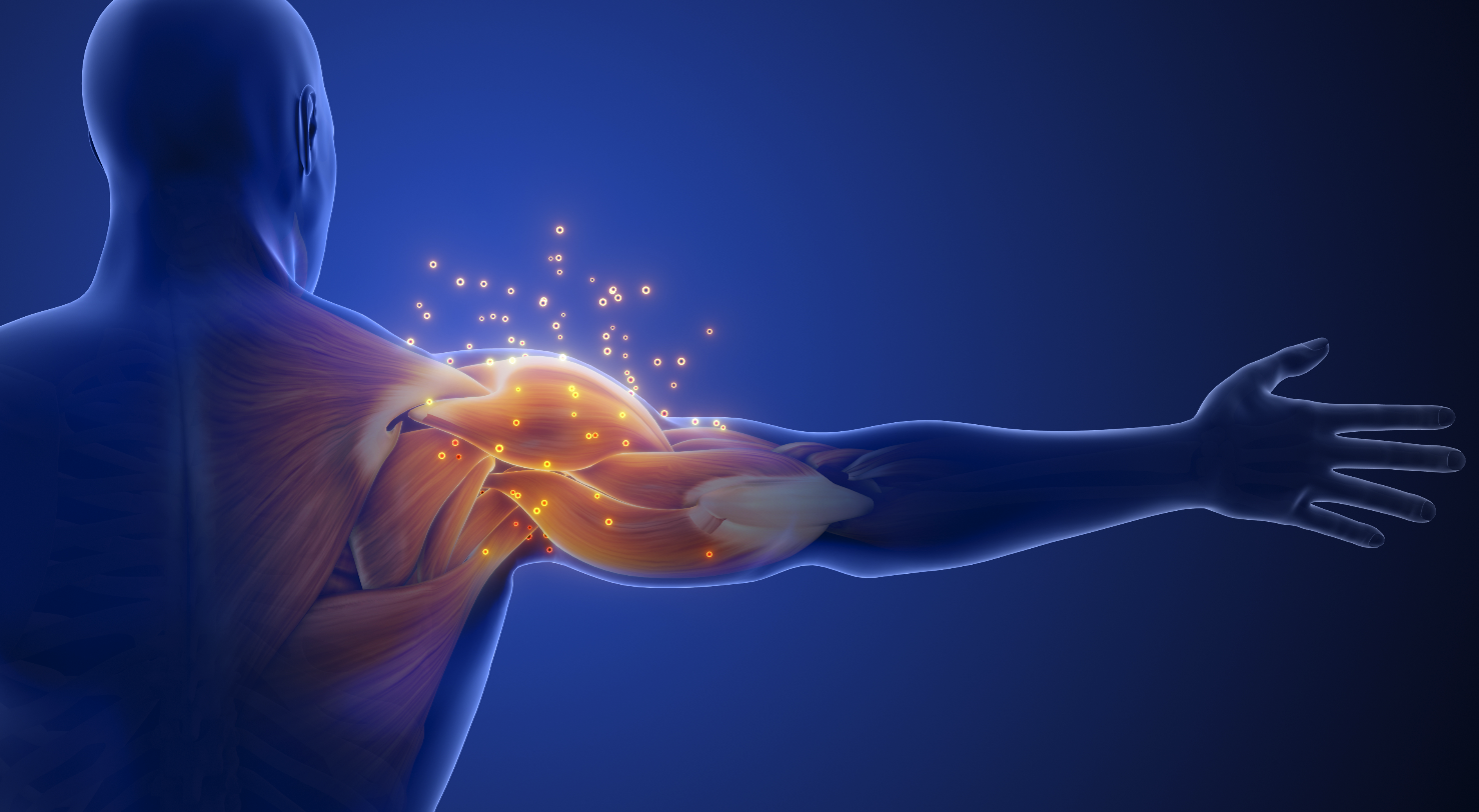 Screenshot_2026-02-19_at_9.25.31_PM.png