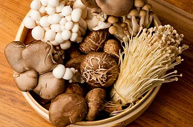 An assortment of functional mushrooms.